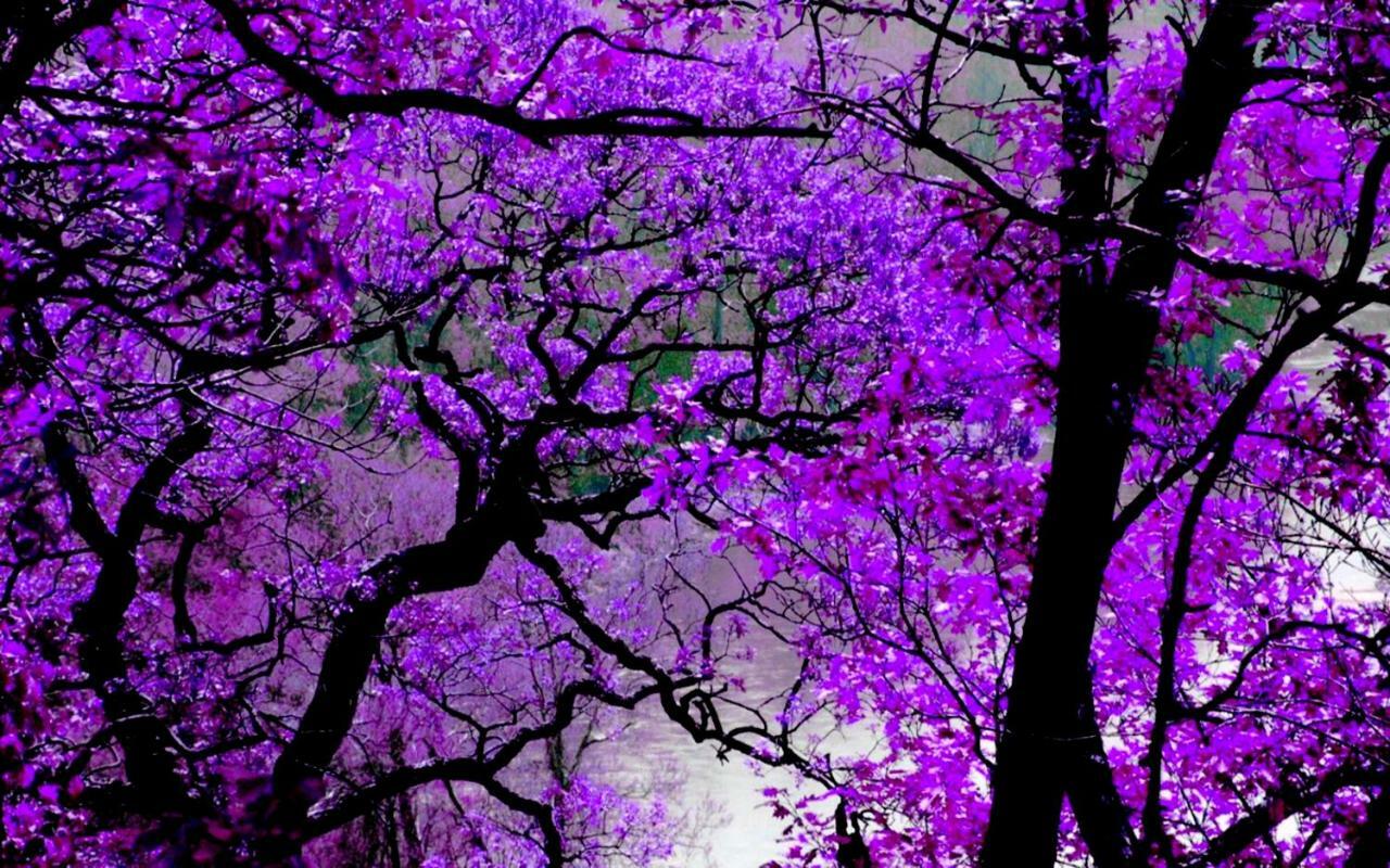 塞萨洛尼基Violet #Colony_White_Tower公寓 外观 照片